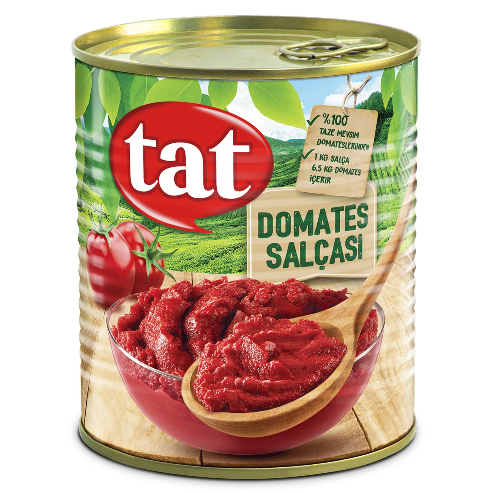 TAT DOMATES SALÇASI 830 GR *24