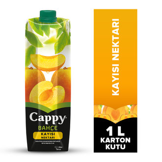 CAPPY 1LT KAYISI *12