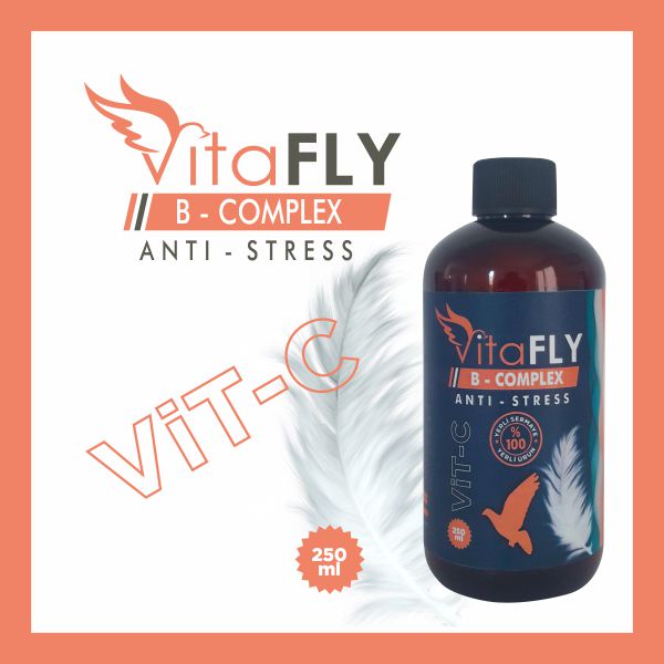 VitaFLY B-COMPLEX - ANTİ - STRESS 250 ml 