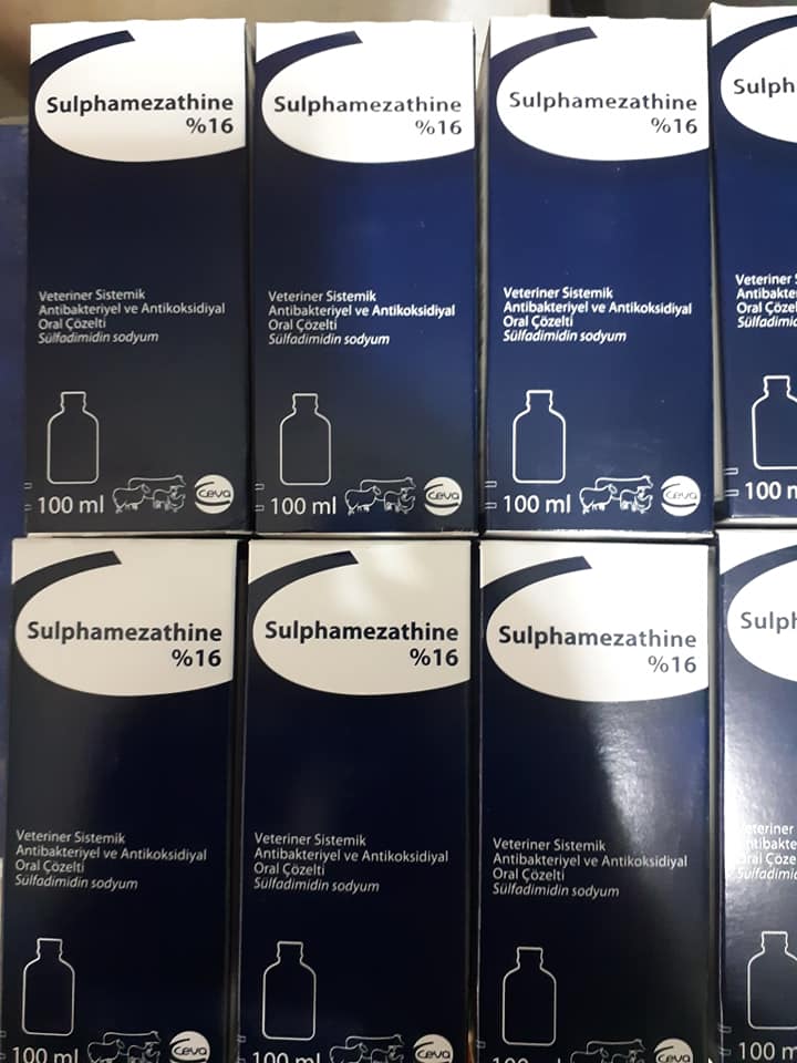 SULPHA