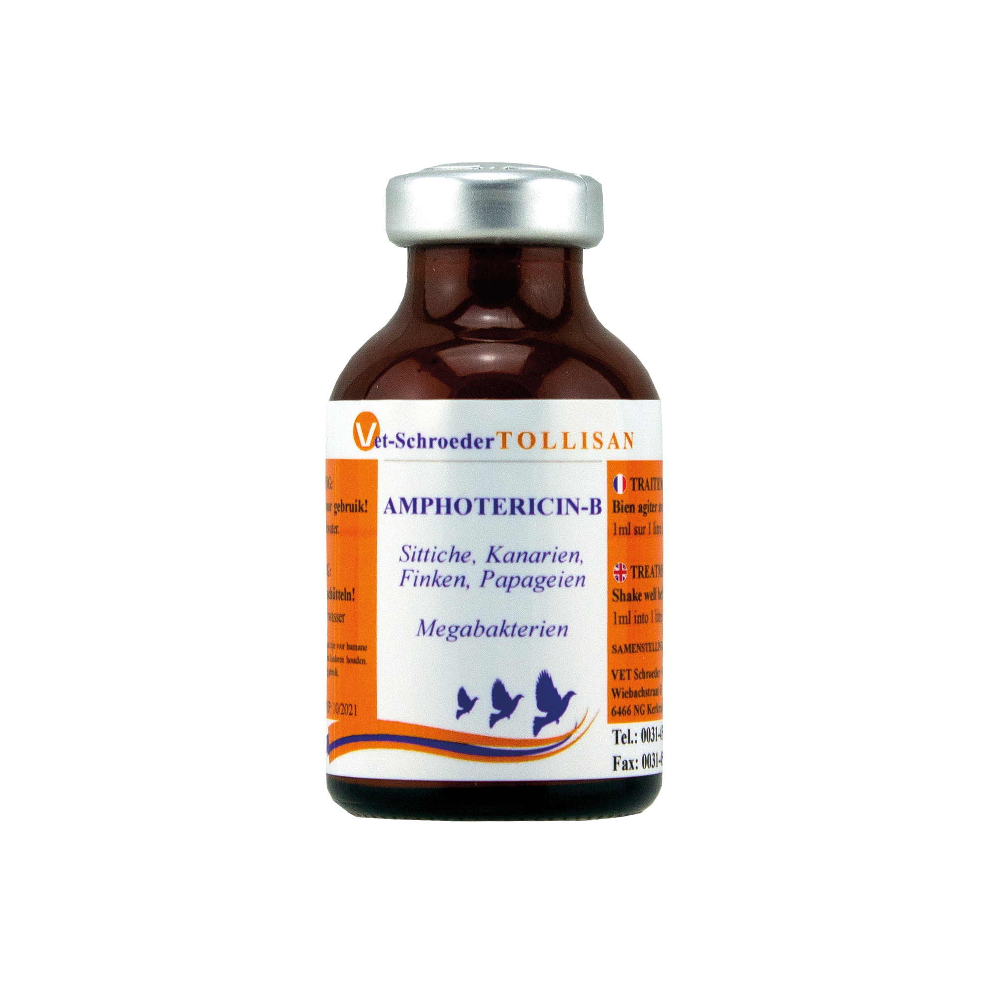 Amphotericin-B-1