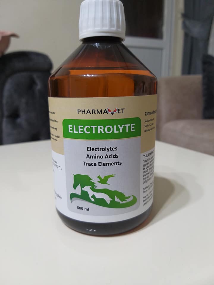 ELEKTROLIT