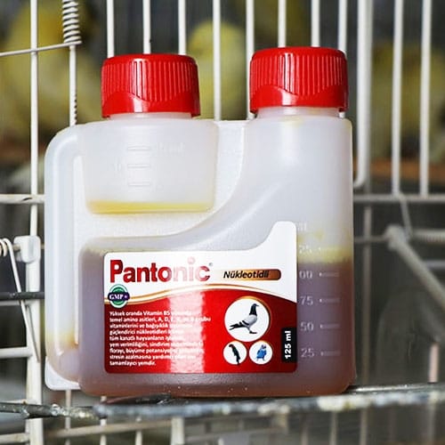 PANTONİK 125 ML