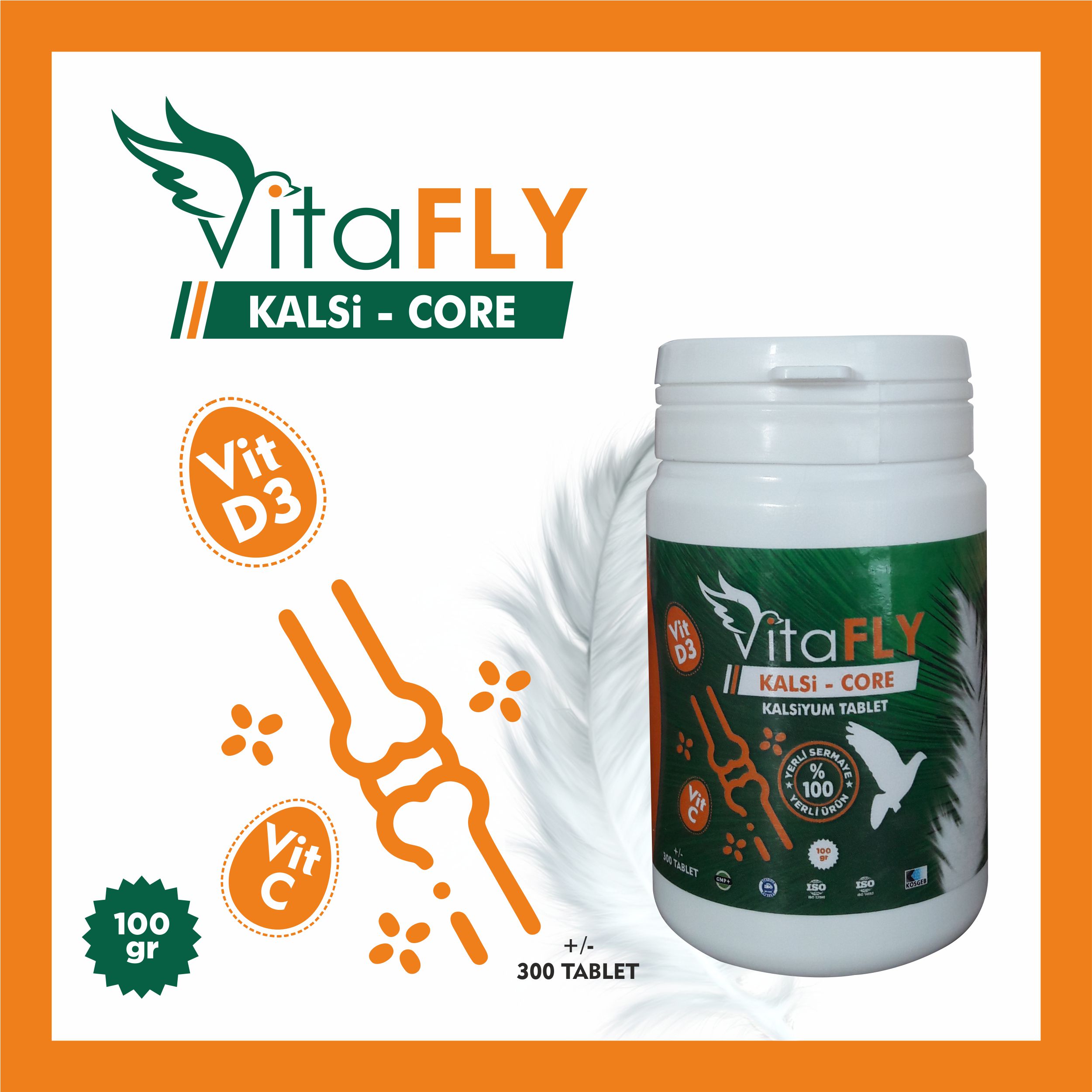 VitaFLY CALSI - CORE 100 gr 