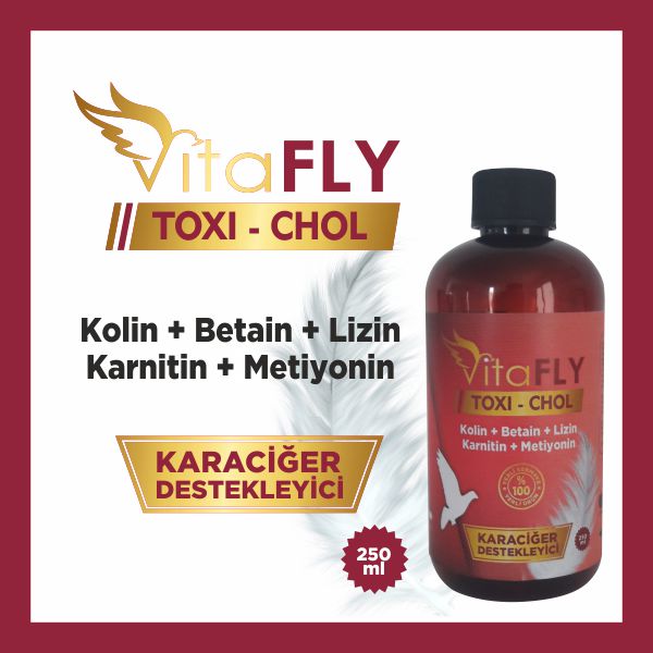 VitaFLY TOXI-CHOL 250 ml 