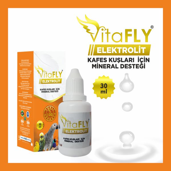 VitaFLY Elektrolitt kafes