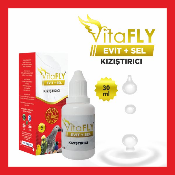 VitaFLY Evit+Sel kafes