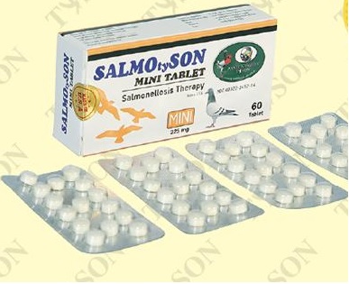 SALMO 60