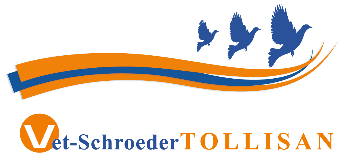 tollisan