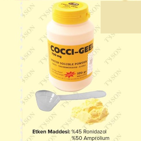 COCCI