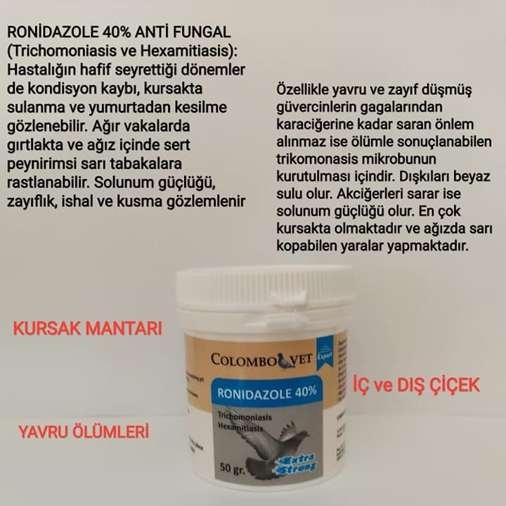 RONİDAZOL 40