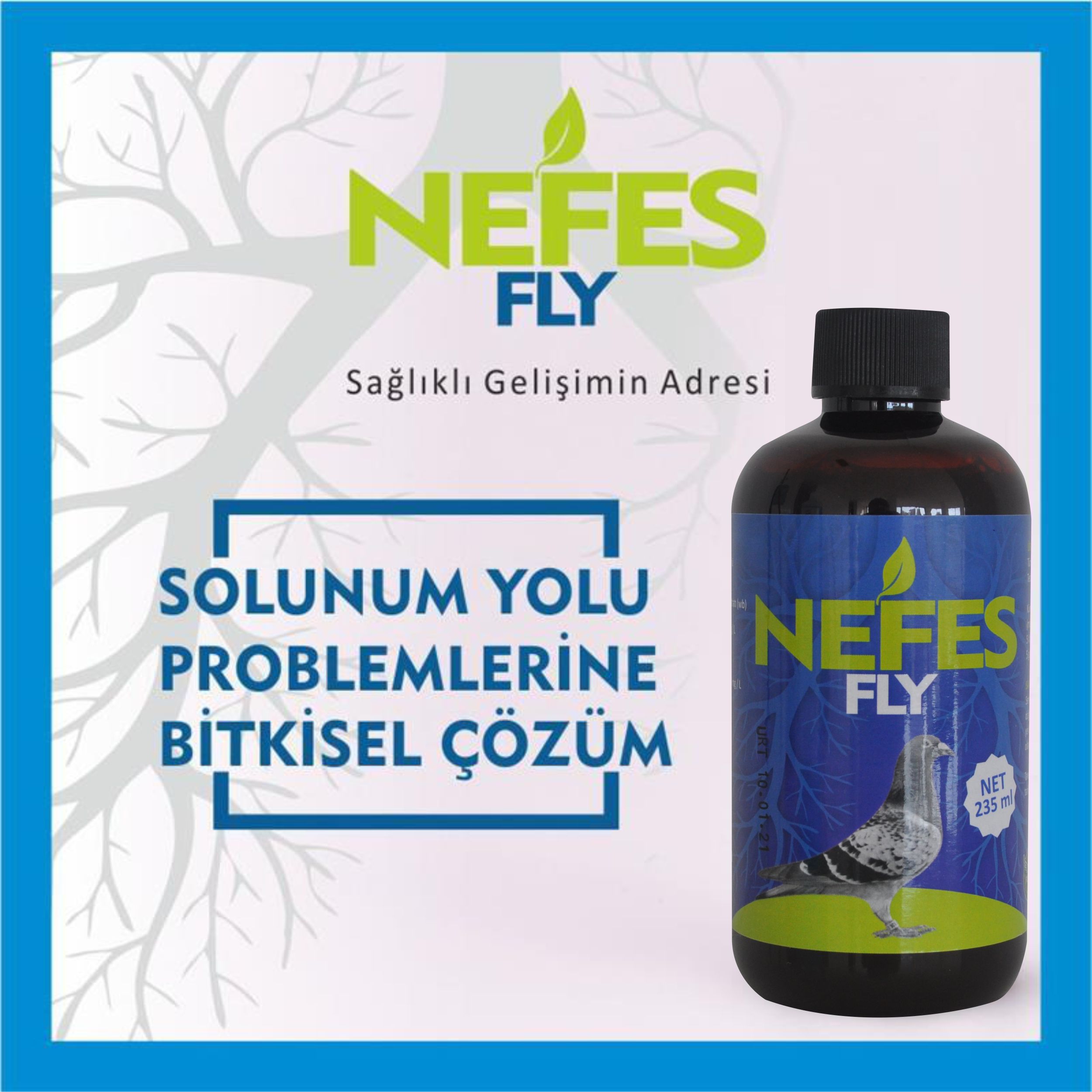 Nefes - FLY  güvercin