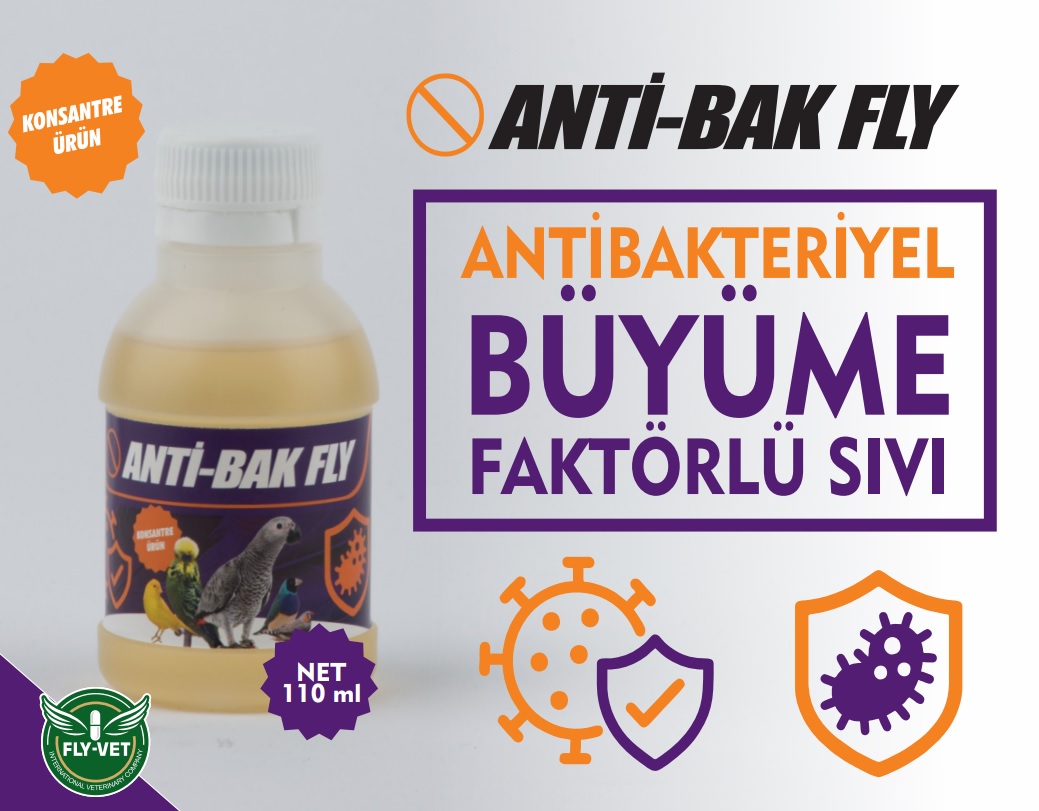 KAFES ANTİBAK RESİM