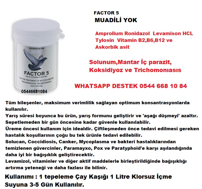 Factor-5-50g