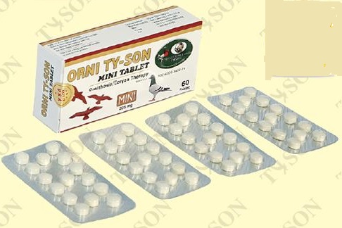 ORNİ 60