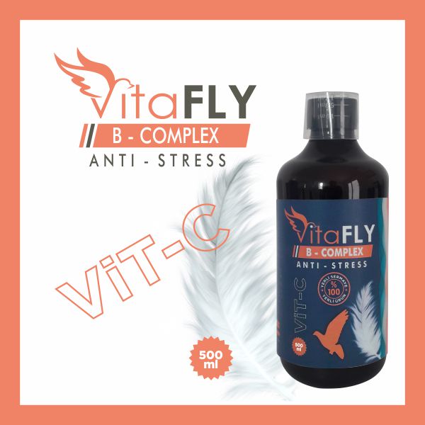 VitaFLY B-COMPLEX - ANTİ - STRESS 500 ml 