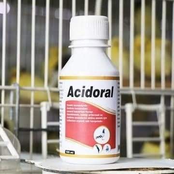 ROYAL ACİDORAL 100 ML 