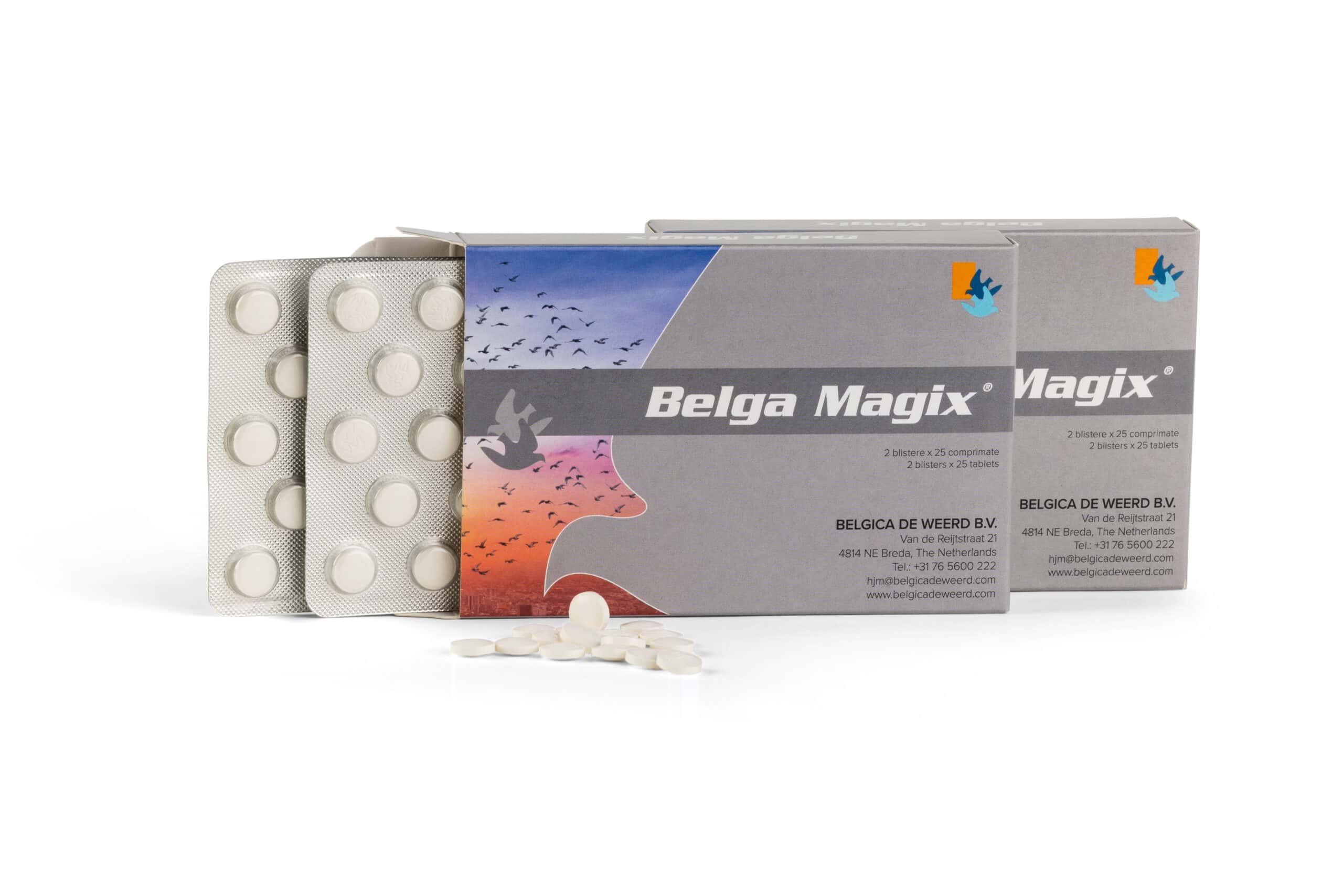 Magix10x5-scaled