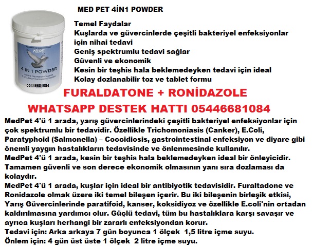 4-in-1-Powder-70 GR