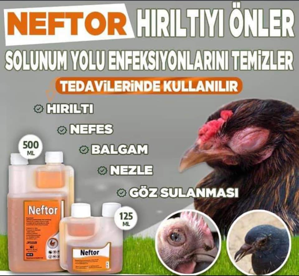 NEFTOR 500 ML 